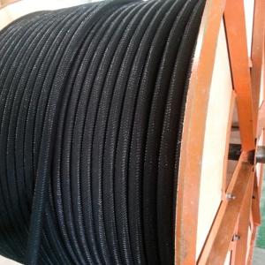 elastyczny polimer przewodzące anoda