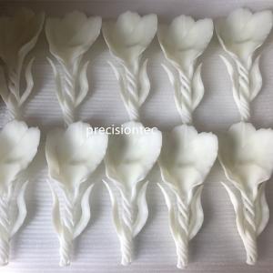 Roztwory prototypowe