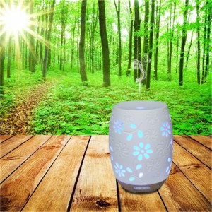 Wiele popularnych nawilżaczy z dyfuzorem ceramicznego oleju zapachowego