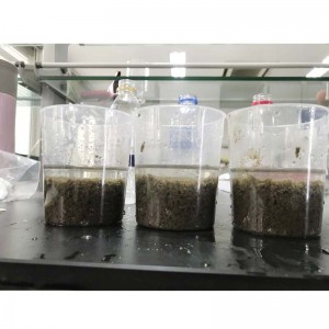 Kationowa cena poliakrylamidu za oczyszczanie ścieków komunalnych