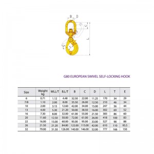 G80 Hak obrotowy z blokadą bezpieczeństwa Malowany