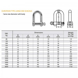 Szekla duża typu Dee z europejskim ocynkowaniem