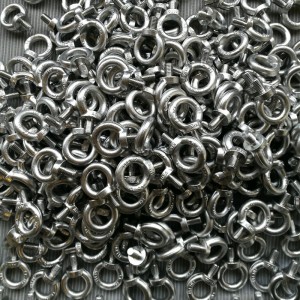 316 kuta śruba DIN580