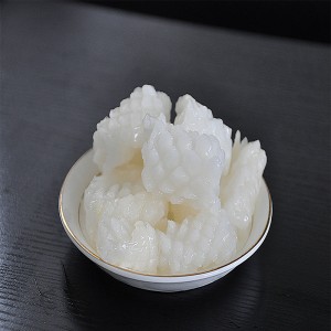 Kwiat Mrożonej Kałamarnicy