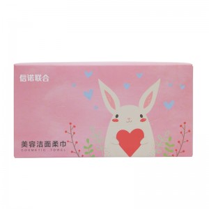 Makijaż Usuwanie chusteczki