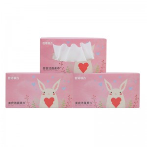 Makijaż Usuwanie chusteczki