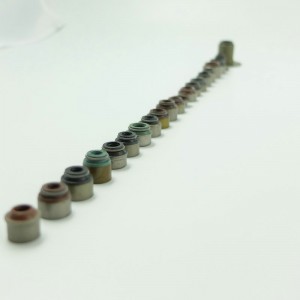 Różnej wielkości uszczelnienie olejowe uszczelnienia trzonka zaworu OEM do silników samochodowych i motocyklowych