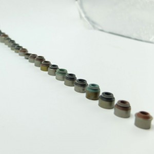 Różnej wielkości uszczelnienie olejowe uszczelnienia trzonka zaworu OEM do silników samochodowych i motocyklowych