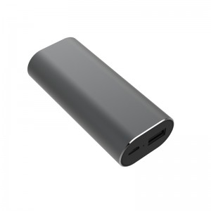 WS-P2 Smart Voice Translator Earbuds