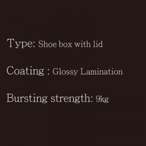 Pudełkona buty z pokrywką typu2