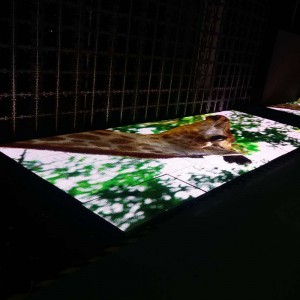 P8.928 Zewnętrzny parkiet taneczny Ekran LED / Ściana wideo LED