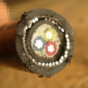 Aluminiowy przewód 2/3 rdzeniowy kabel zasilający Drut stalowy Opancerzony kabel zasilający Swa