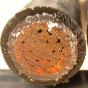 Niskonapięciowy ognioodporny kabel zasilający Frls z miedzianym przewodnikiem