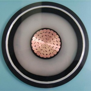 110kv Xlpe HV Kabel zasilający Kompaktowy segmentowy przewodnik 1000 mm2