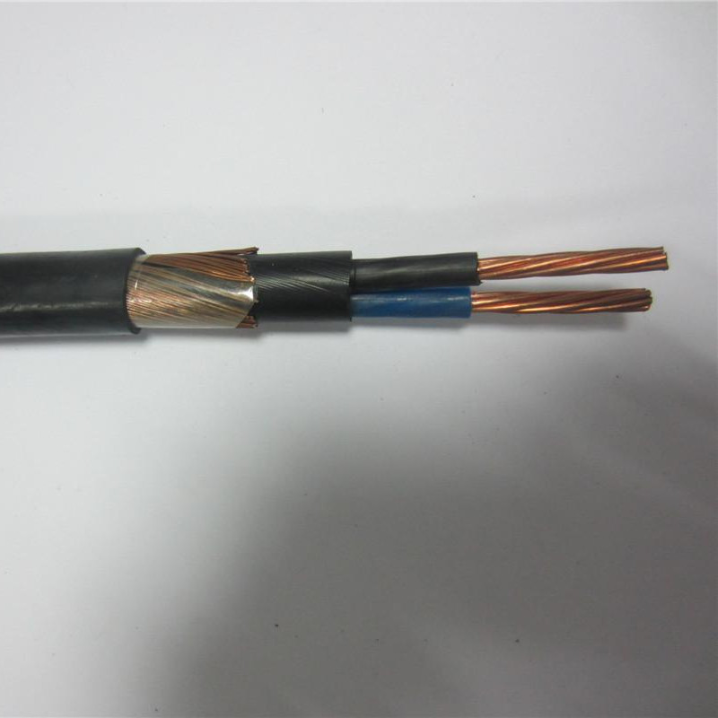 Kabel koncentryczny dzielony 16 mm 25 mm 2x8 2x10 3x6 3x8 AWG Kabel zasilający do wejścia serwisowego