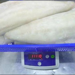 Mrożone, lekko solone filety z atlantyckiego czarniaka