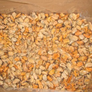 Mrożone gotowane mięso małży