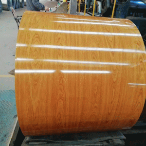 Talerz walcowany Caitu