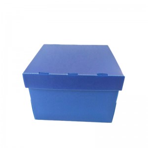 Pudełko na owoce i warzywa