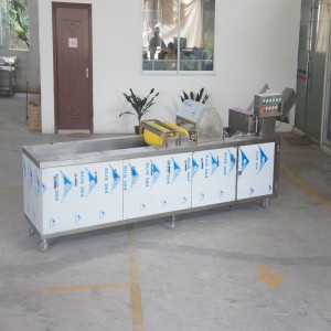 Myjka do warzyw do dezynfekcji ozonem (z urządzeniem do usuwania zanieczyszczeń)