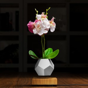 lewitacja magnetyczna pływająca doniczka powietrzna bonsai PA-0708