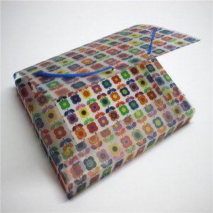 Teczka na dokumenty z PP z gumką