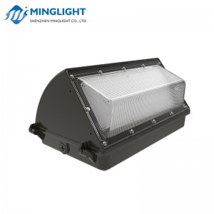 Lampa ścienna LED WPB2 60W