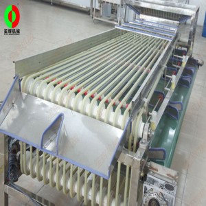 Równiarka do owoców FJ-3000