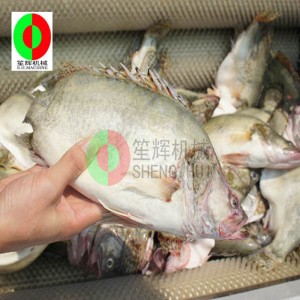 Maszyna do czyszczenia owoców melona / maszyna do obierania owoców melona / maszyna do czyszczenia szczotek owoców melona QX-612 nowa