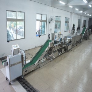 Duża linia do zabijania porów