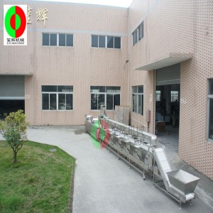 Wielofunkcyjna linia do prania warzyw / pralka do warzyw / trzywarstwowa linia do produkcji czystych linii do przetwarzania warzyw