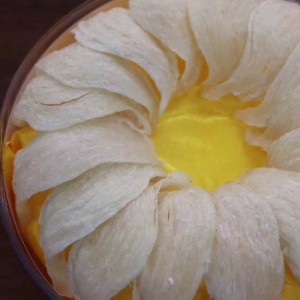 Ptasie gniazdo do odżywiania