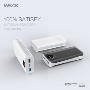 Bank mocy WEX - P20