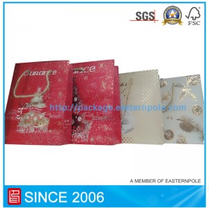 Indywidualna torba papierowa z różnego rodzaju rozmiarami i wzorami