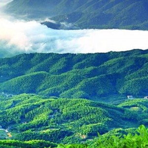 dziesięć herbat z herbatą czarnej herbaty Hunan Anhua