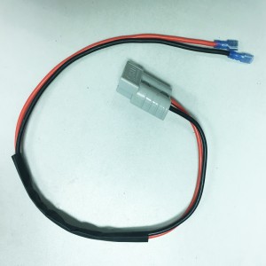 AUTO CABLE 02