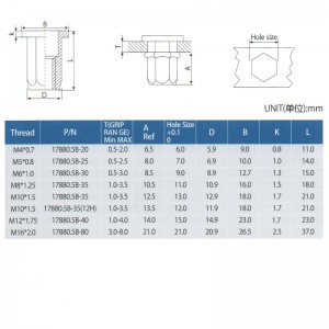 Korpus z łbem sześciokątnym z płaską głową