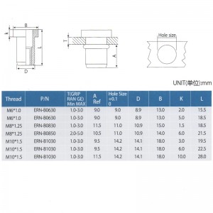 Elevator Flat Head Rivet nuts
