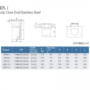 Zmniejszyć sześciokątny korpus wewnętrzny-sześciokątny zamknięty koniec