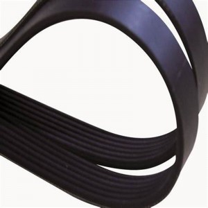 Pas prążkowany OFT