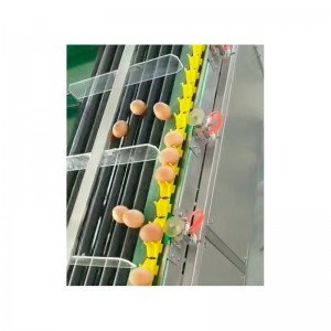 WF100 Klasyfikacja elektronicznego ważenia jaj