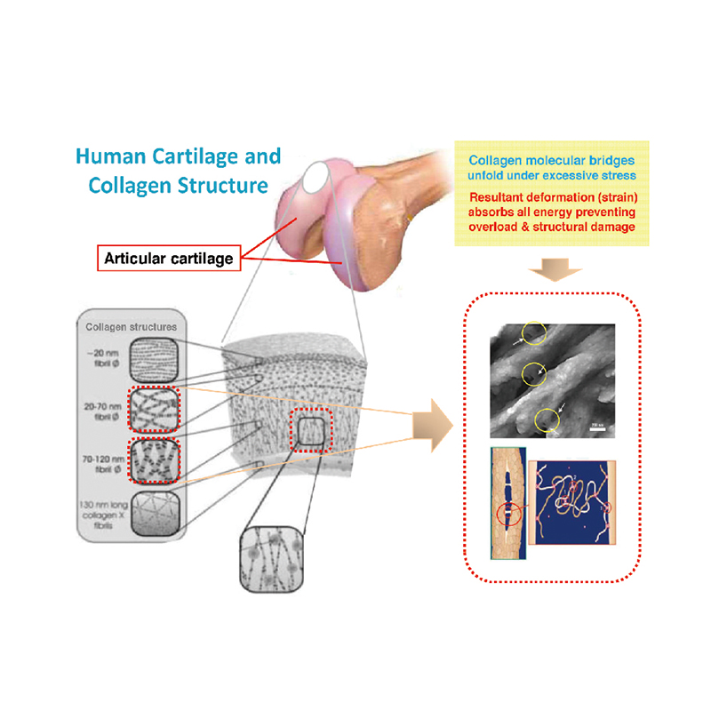 Dlaczego ACFoam jest tak popularny na chińskim rynku materiałów obuwniczych?