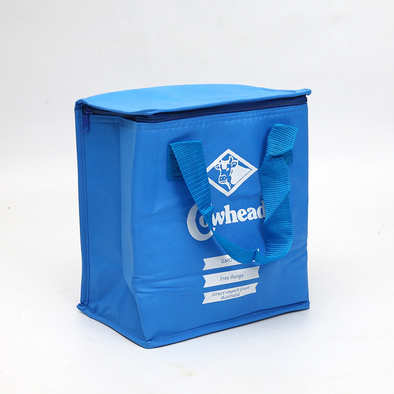 SGC30 Hurtowa niska cena promocyjna Do recyklingu Niestandardowe logo drukowane Torba na zakupy Torba termoizolacyjna