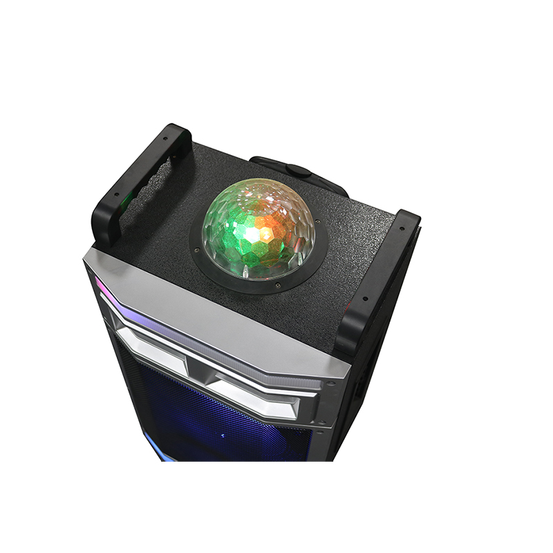 Głośnik Trollry Y-B22-12H