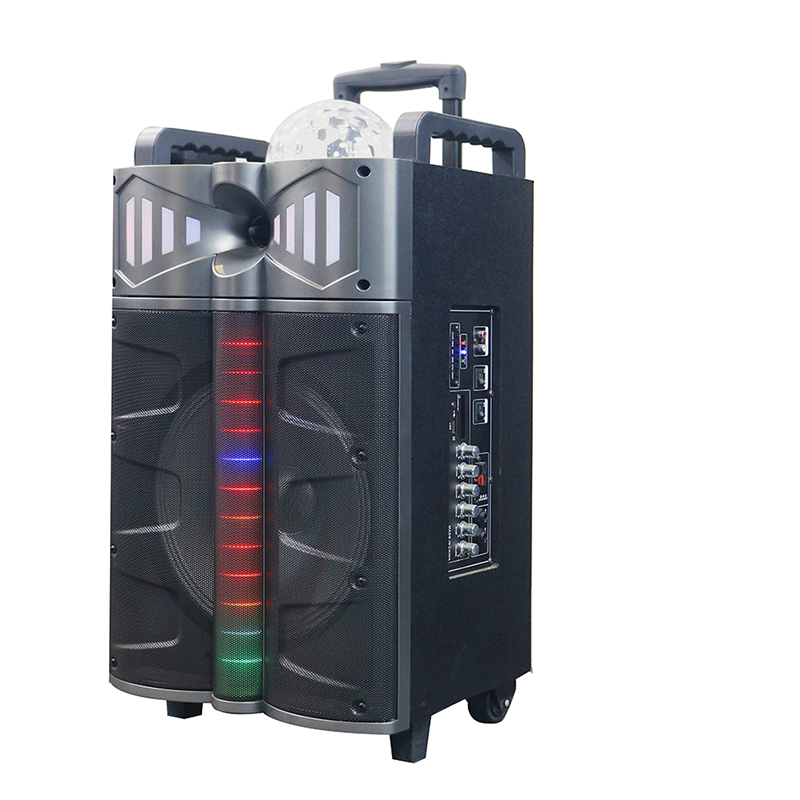 Głośnik Trollry Y-DJ1201-12H