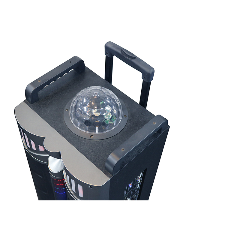 Głośnik Trollry Y-DJ1201-12H