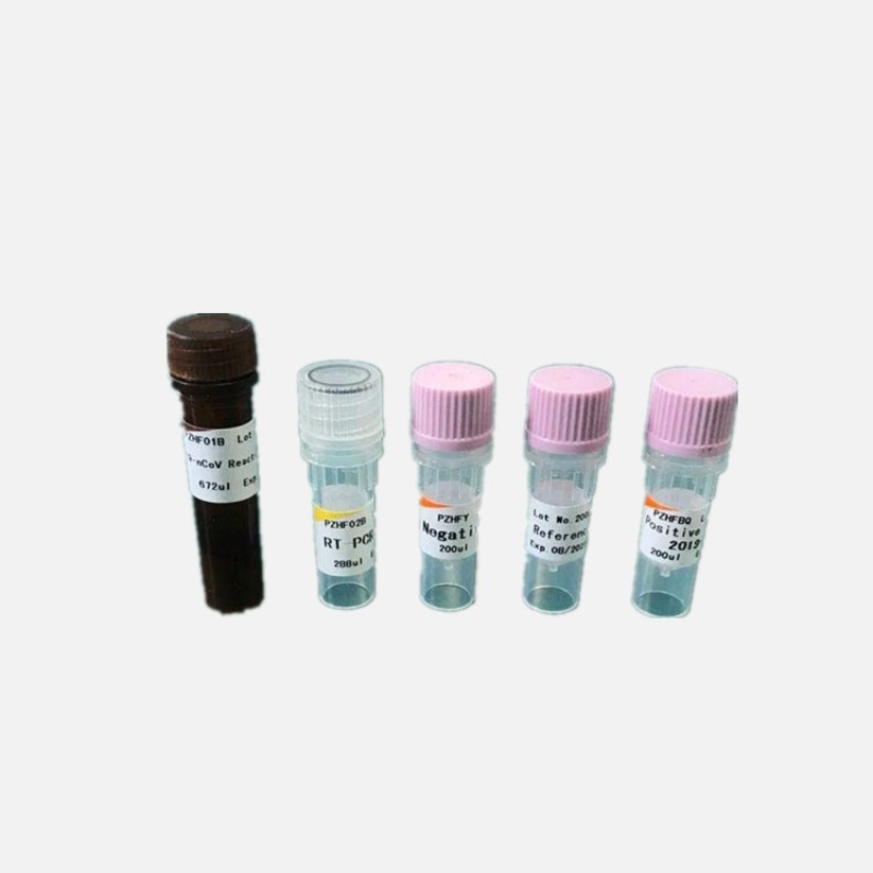 Co się stanie z pacjentem z nową koroną?Jak interpretować wyniki surowicy IgG i IGM