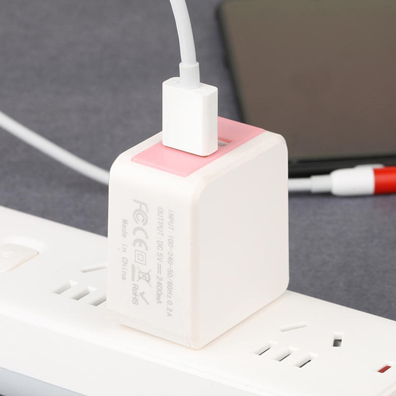 Dwuportowa przenośna ładowarka ścienna USB Wieloportowe ładowarki USB EU / US / UK / AU OEM