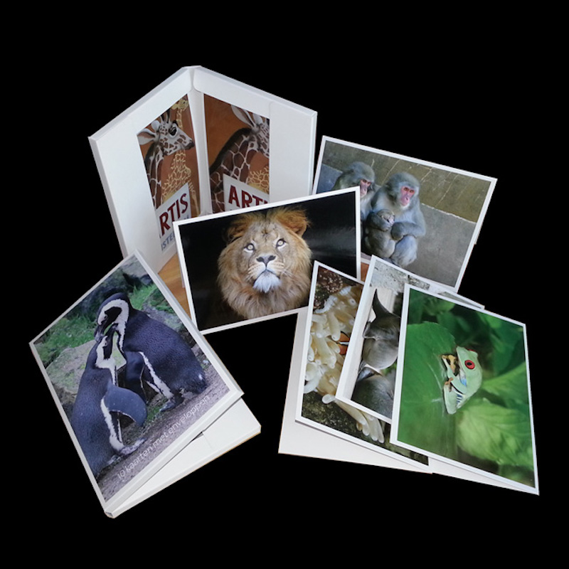 Greeting Card dla wszystkich okazji, papierowa karta, z kopertami.Pamiątki dla Podróżników