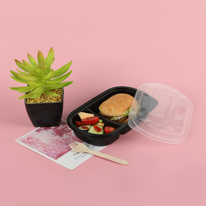 Pudełko na Lunch 520A